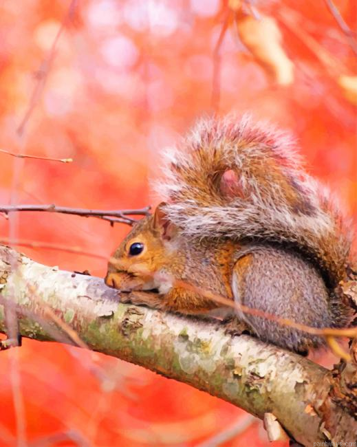 Squirrel On The Tree New Painting By Numberss.png