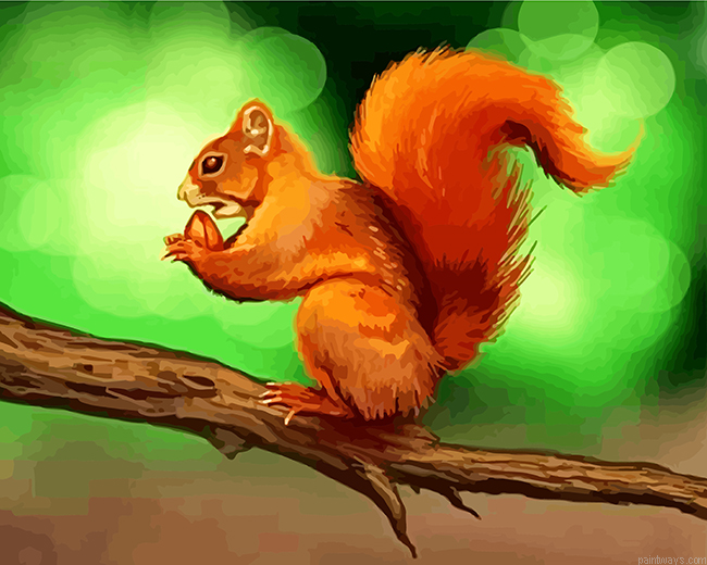 Squirrel On The Tree Painting By Numbers.png