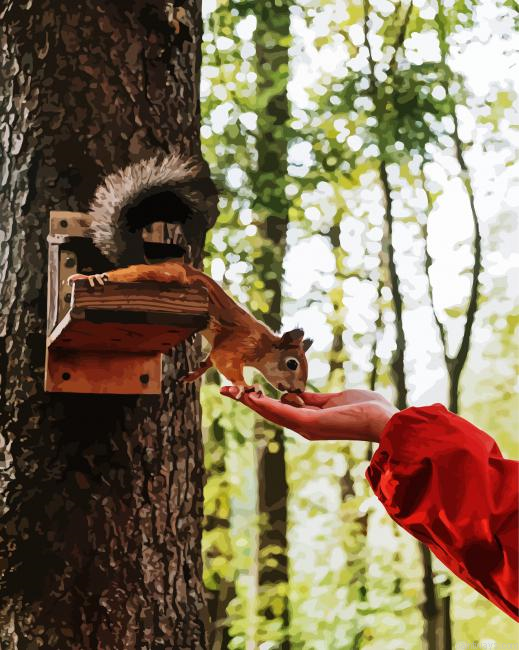 Squirrel On Tree Painting By Numberss.png