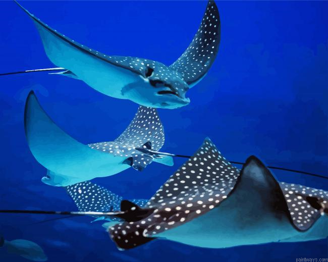 Stingray Fishes Painting By Numberss.png