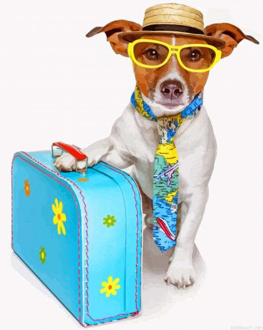 Stylish Dog Painting By Numbers.png