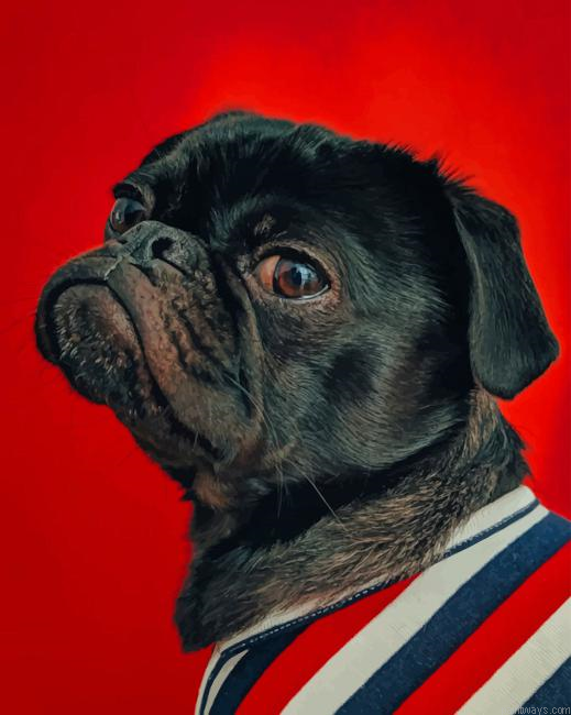Stylish Doggy New Painting By Numberss.png