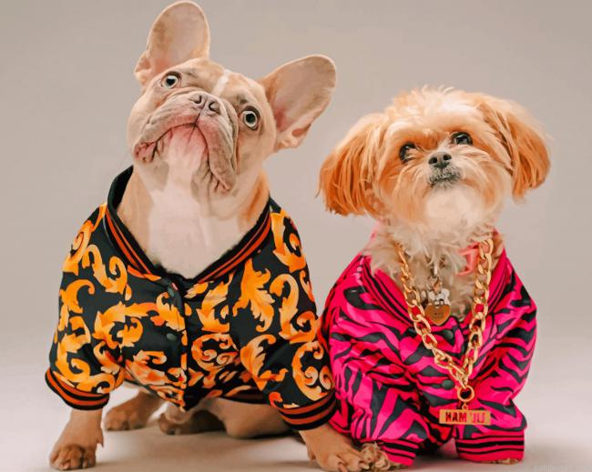 Stylish Dogs New Painting By Numberss.png