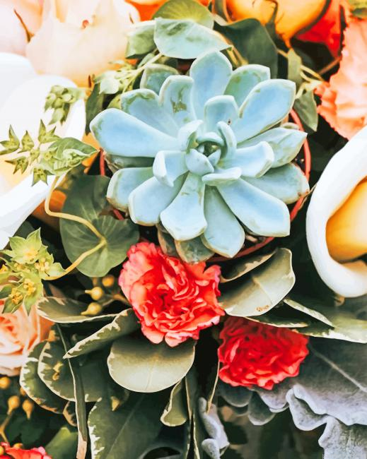 Succulent Colorful Flowers New Painting By Numberss.png