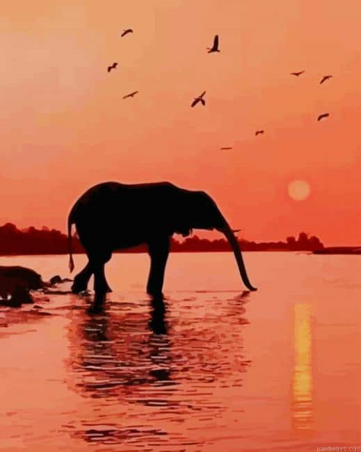 Sunset Beautiful Elephant New Painting By Numberss.png