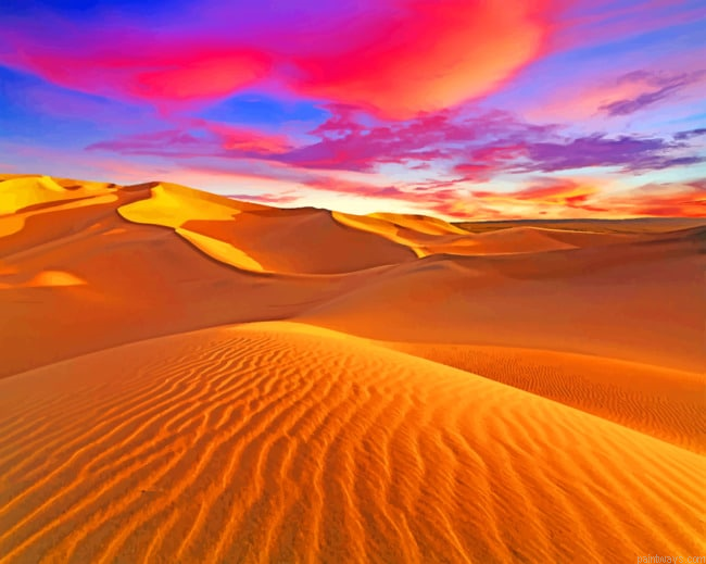 Sunset Desert Painting By Numberss.png