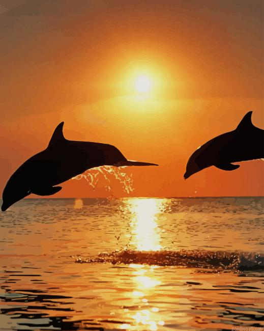 Sunset Dolphins New Painting By Numberss.png