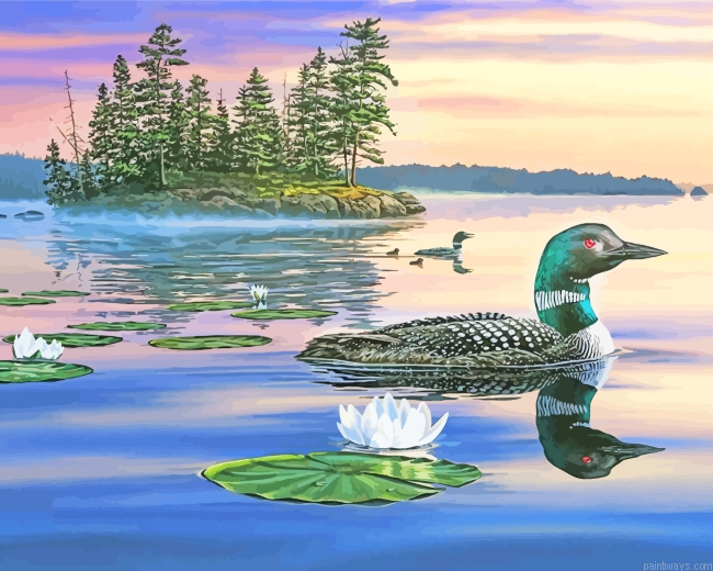 Sunset Loon Bird Painting By Numberss.png