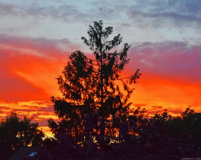 Sunset View New Painting By Numberss.png