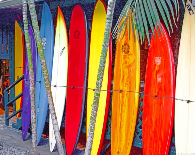 Surf Boards Painting By Numberss.png
