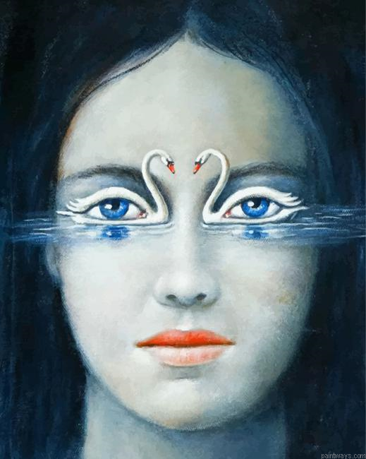 Swans Eyes Painting By Numbers.png
