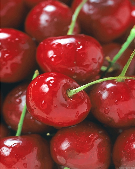 Sweet Cherry New Painting By Numberss.png