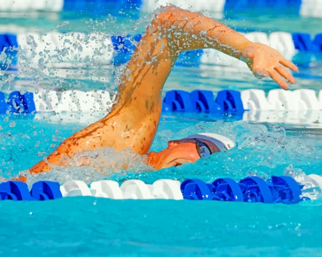 Swimmer Sports Painting By Numberss.png