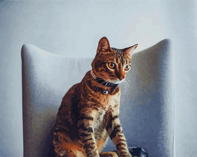 Tabby Cat New Painting By Numberss.png