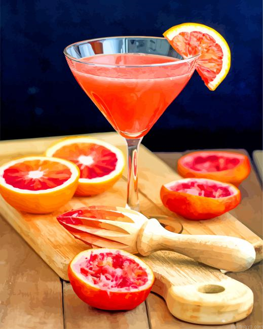 Tasty Martinis Blood Orange Painting By Numberss.png