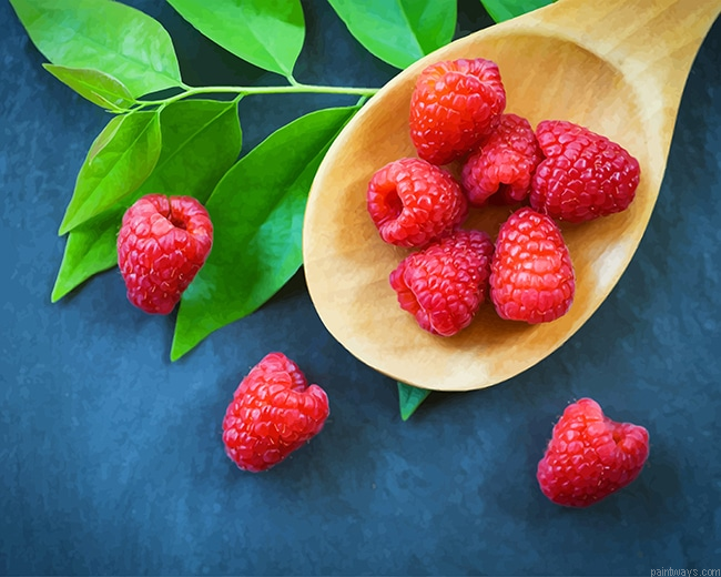 Tasty Raspberry New Painting By Numberss.png