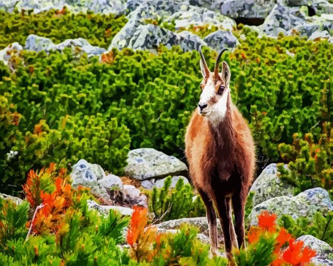 Tatra Chamois Painting By Numberss.png