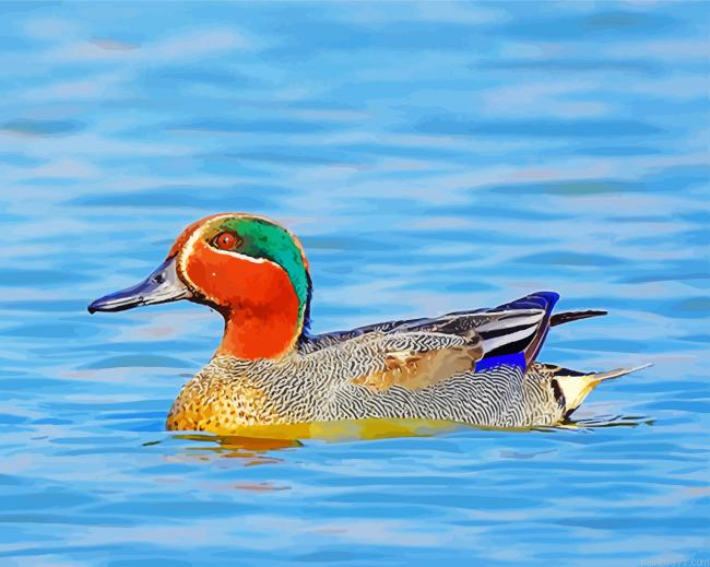 Teal Duck In Water Painting By Numberss.png