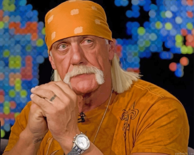 Terry Eugene Bollea Painting By Numberss.png