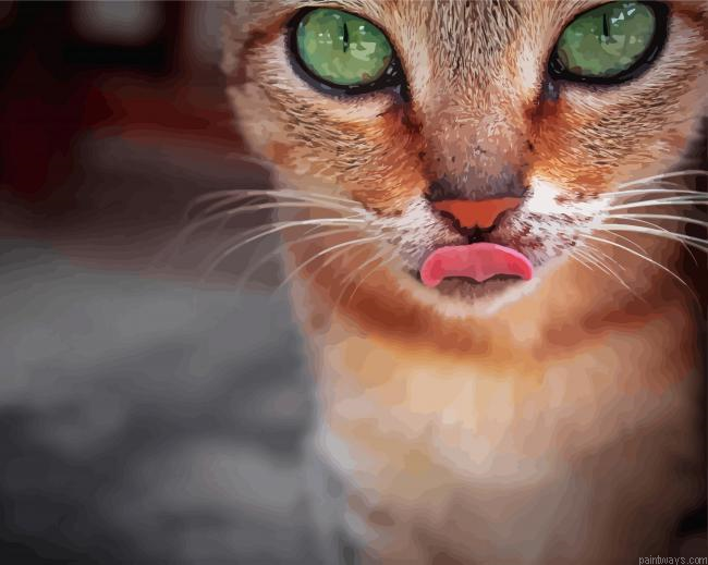 The Abyssinian Cat Painting By Numberss.png