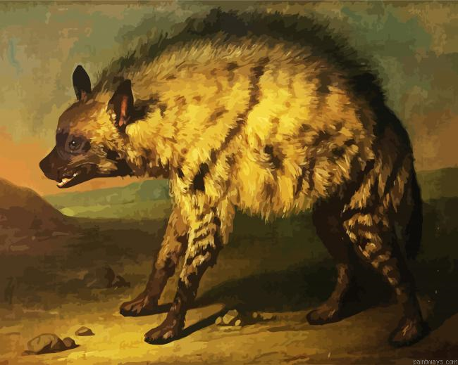 The Hyena Animal Painting By Numberss.png