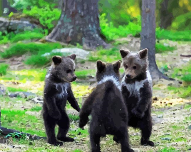 The Real Bears Dancing Painting By Numberss.png