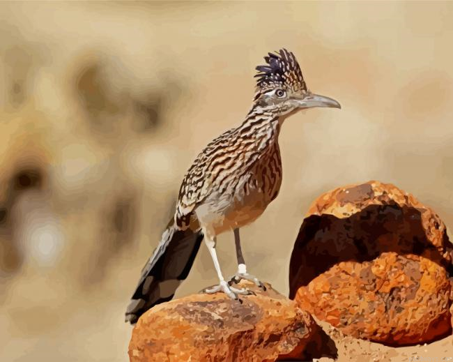 The Roadrunner Bird Painting By Numberss.png