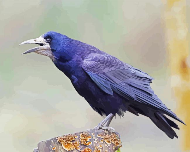 The Rook Bird Painting By Numberss.png