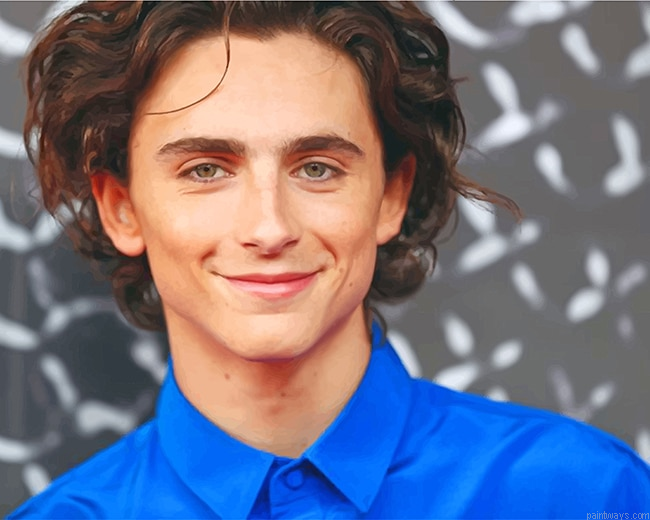 The Actor Timothee Chalamet New Painting By Numberss.png