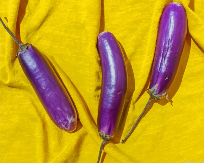 Three Eggplants New Painting By Numberss.png