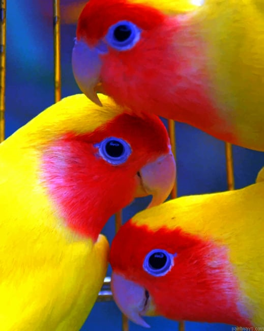 Three Yellow Birds Animals Painting By Numberss.png