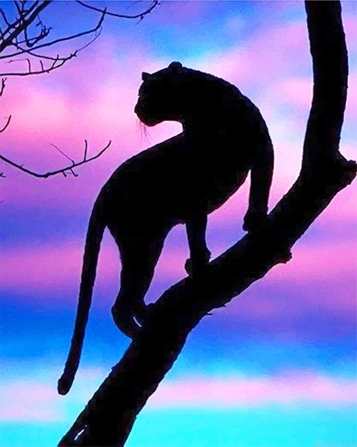Tiger Silhouette New Painting By Numberss.png