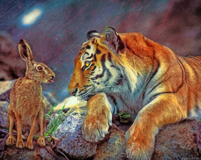 Tiger With Rabbit Animals Painting By Numberss.png