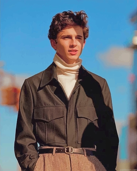 Timothee Chalamet New Painting By Numberss.png