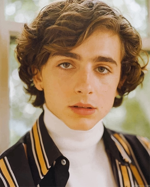 Timothee Chalamet Portrait New Painting By Numberss.png