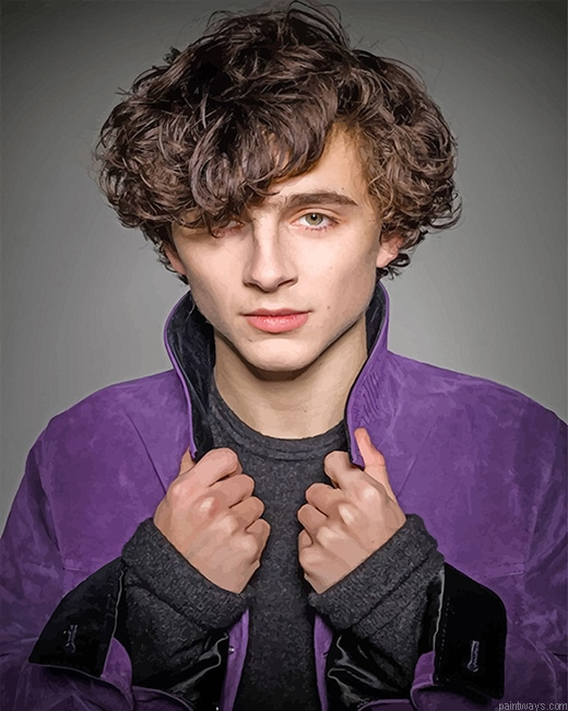 Timothee Hal Chalamet New Painting By Numberss.png
