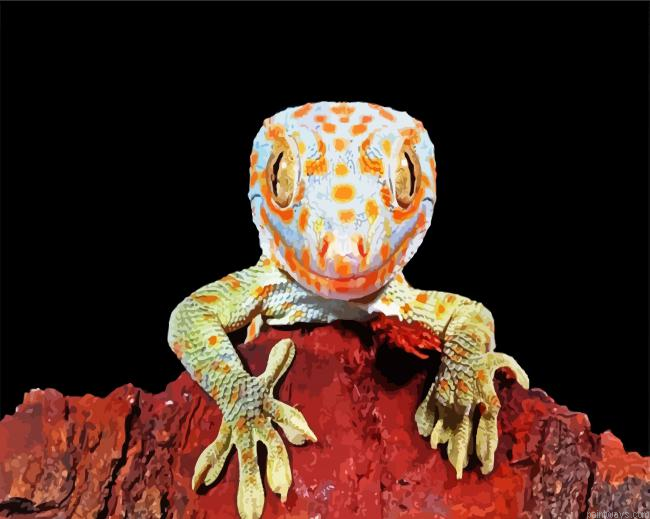 Tokay Gecko Lizard Painting By Numberss.png