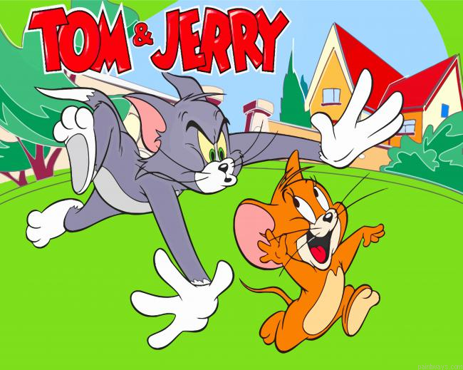 Tom Cat And Jerry Mouse Painting By Numbers.png