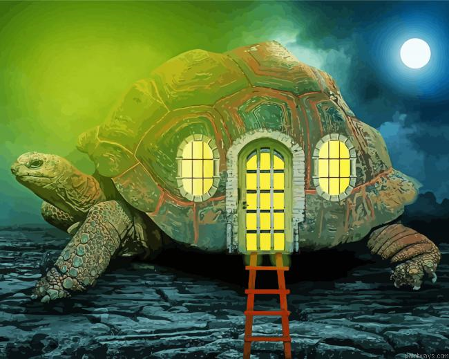 Tortoise House Painting By Numberss.png