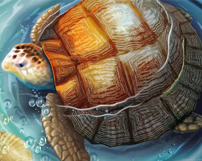 Tortoise In Water Painting By Numberss.png