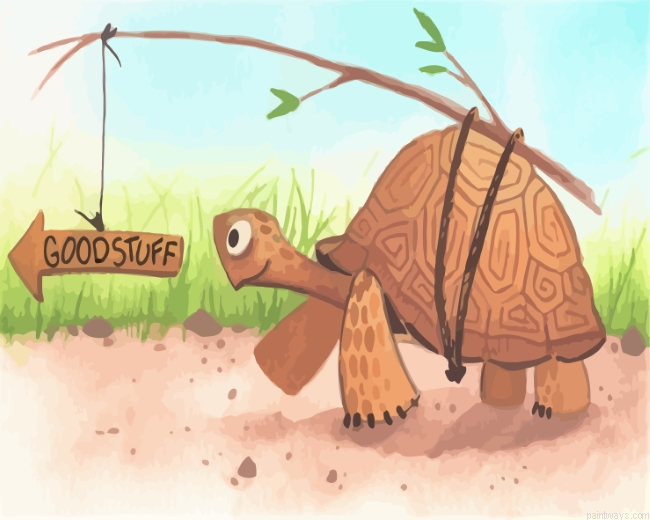 Tortoise Painting By Numberss.png