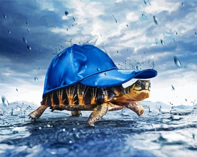 Tortoise With Hat Painting By Numberss.png