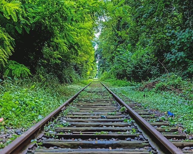 Train Rail New Painting By Numberss.png
