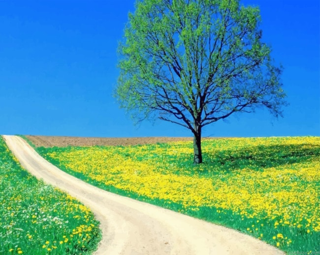 Tree Field Nature Painting By Numberss.png