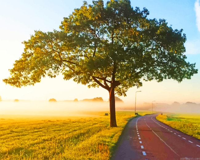 Tree In Empty Road Nature Painting By Numberss.png