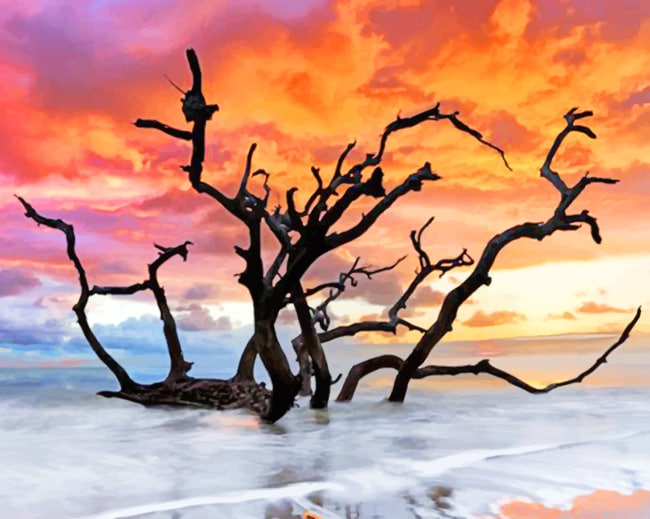 Tree In The Beach At Sunset Seascapes Painting By Numberss.png