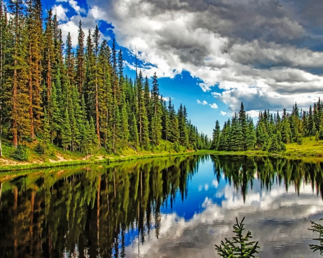 Trees Reflection Nature Painting By Numberss.png