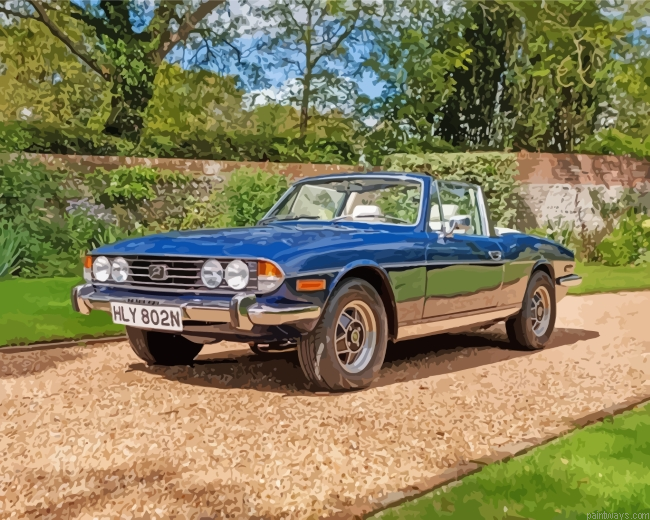 Triumph Stag Painting By Numbers.png