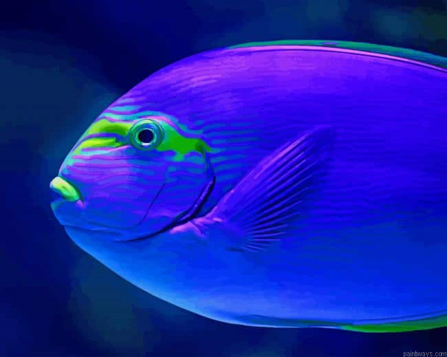 Tropical Blue Fish New Painting By Numberss.png