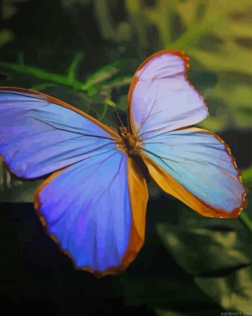 Tropical Butterfly New Painting By Numberss.png